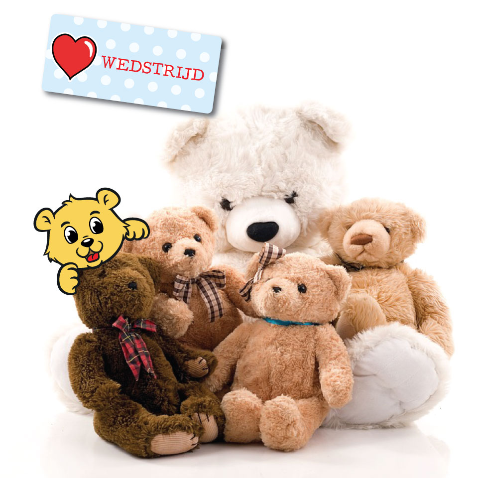 Introductie van ons nieuwe teddybeer logo: WIN een knuffelbeer!