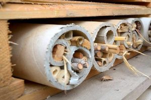 Tuinieren met kinderen – WIN een Tuinier-set voor Kinderen!